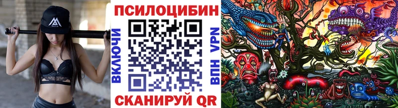 Галлюциногенные грибы MAGIC MUSHROOMS  Купить закладки  Карабаново 
